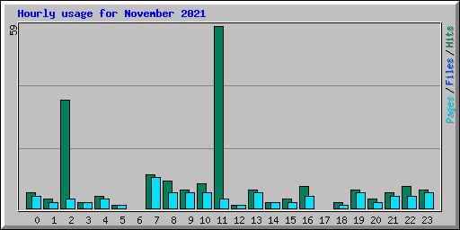 Hourly usage for November 2021