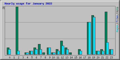 Hourly usage for January 2022